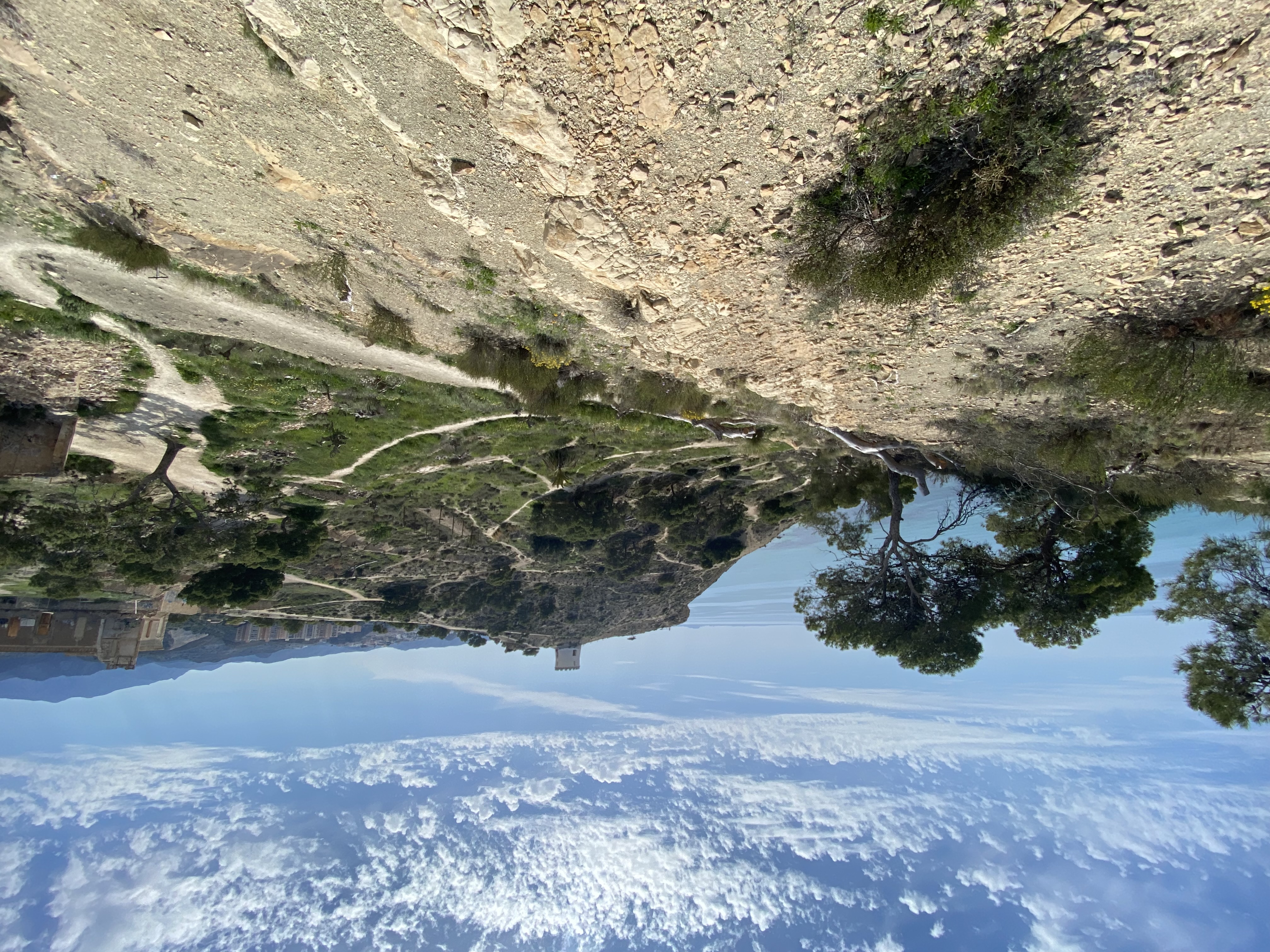 Coastal cliffs